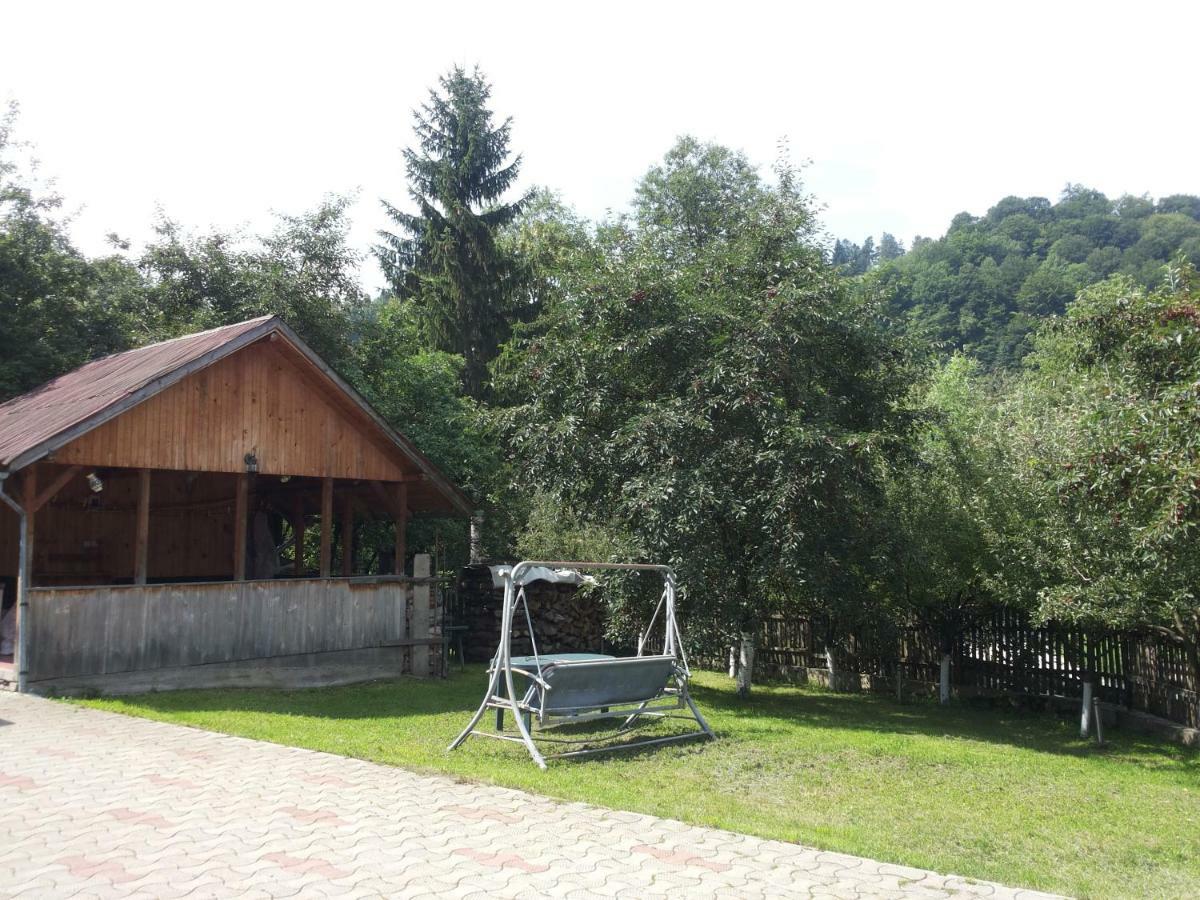 Casa Vera Törcsvár Kültér fotó